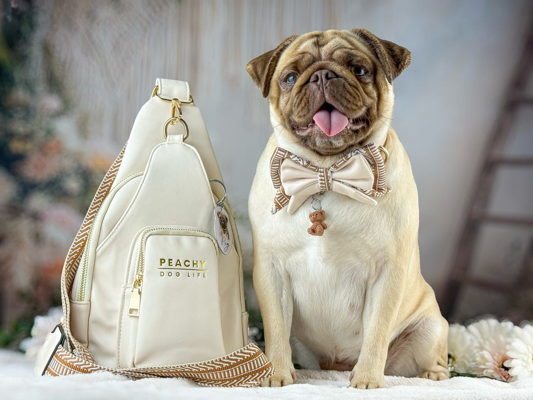 How to Take Breathtaking Photos of Your Dog (That You’ll Actually Want to Frame)