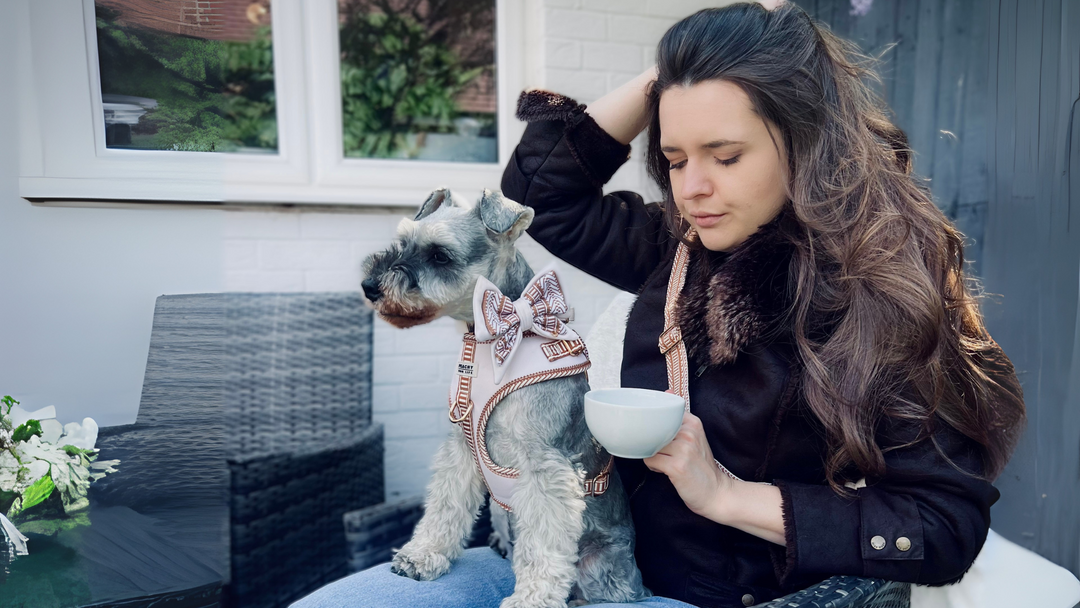 Dog walking outfit ideas