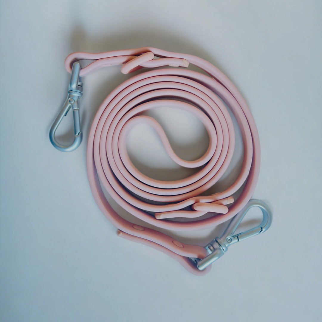 Leads & Collars