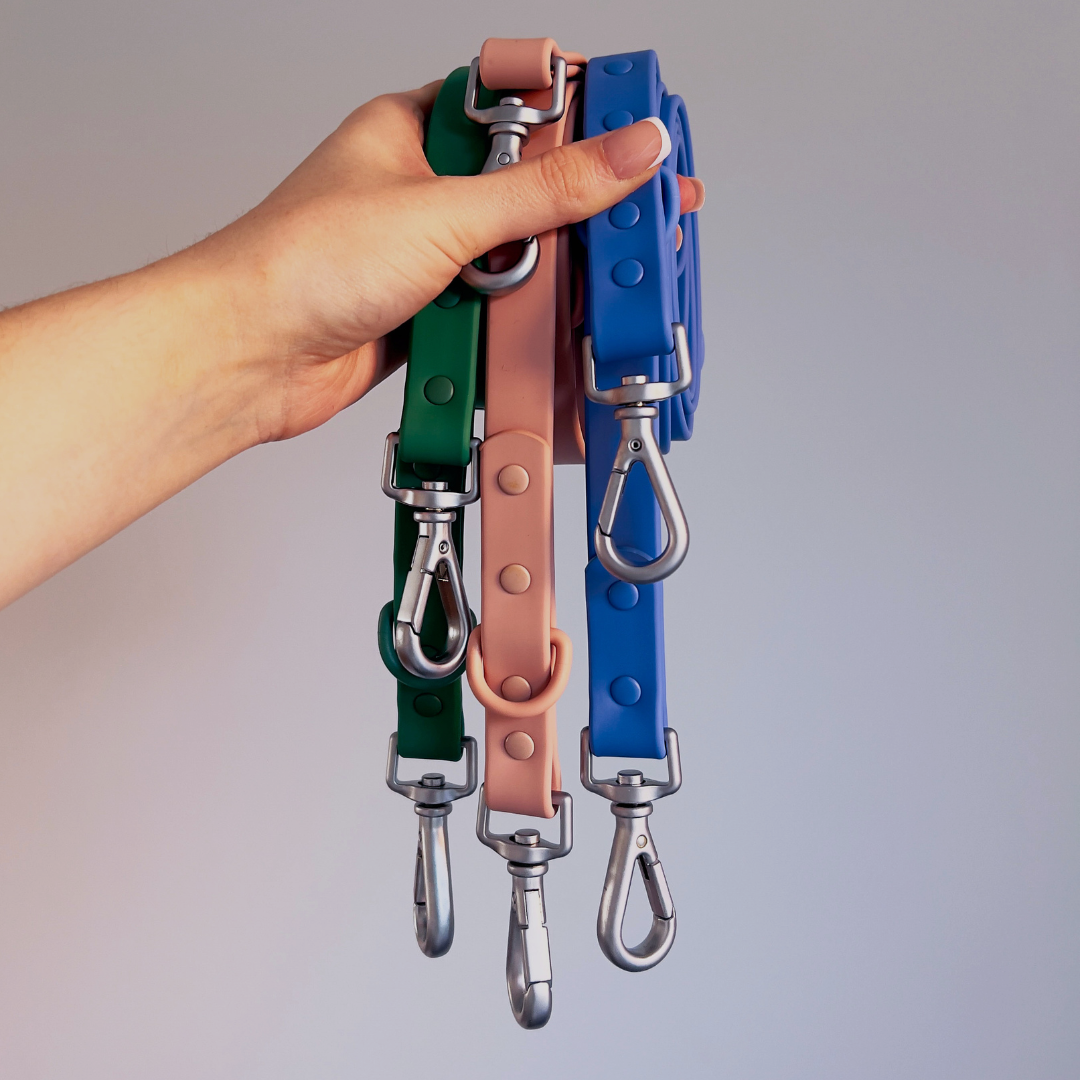 Dog Leads
