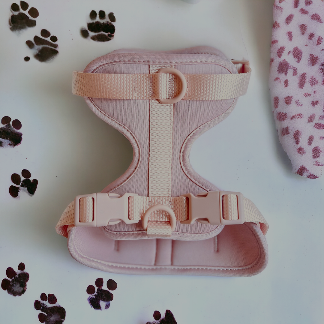 Dog Harness Collection