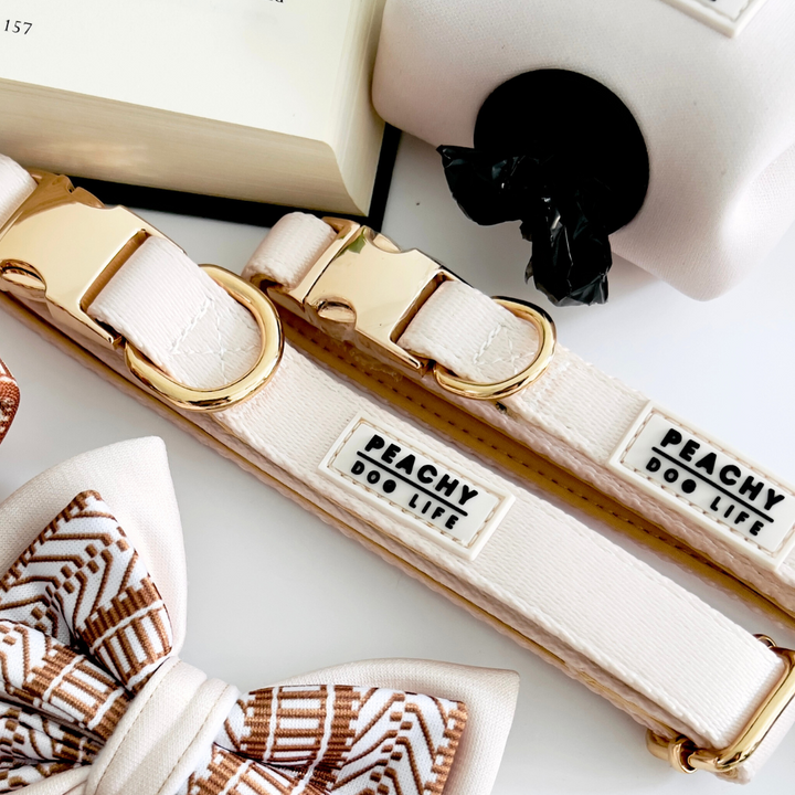 Ivory Cream Dog Collar
