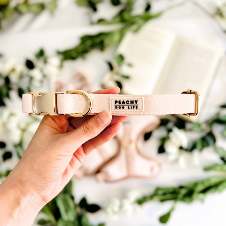 Ivory Cream Dog Collar