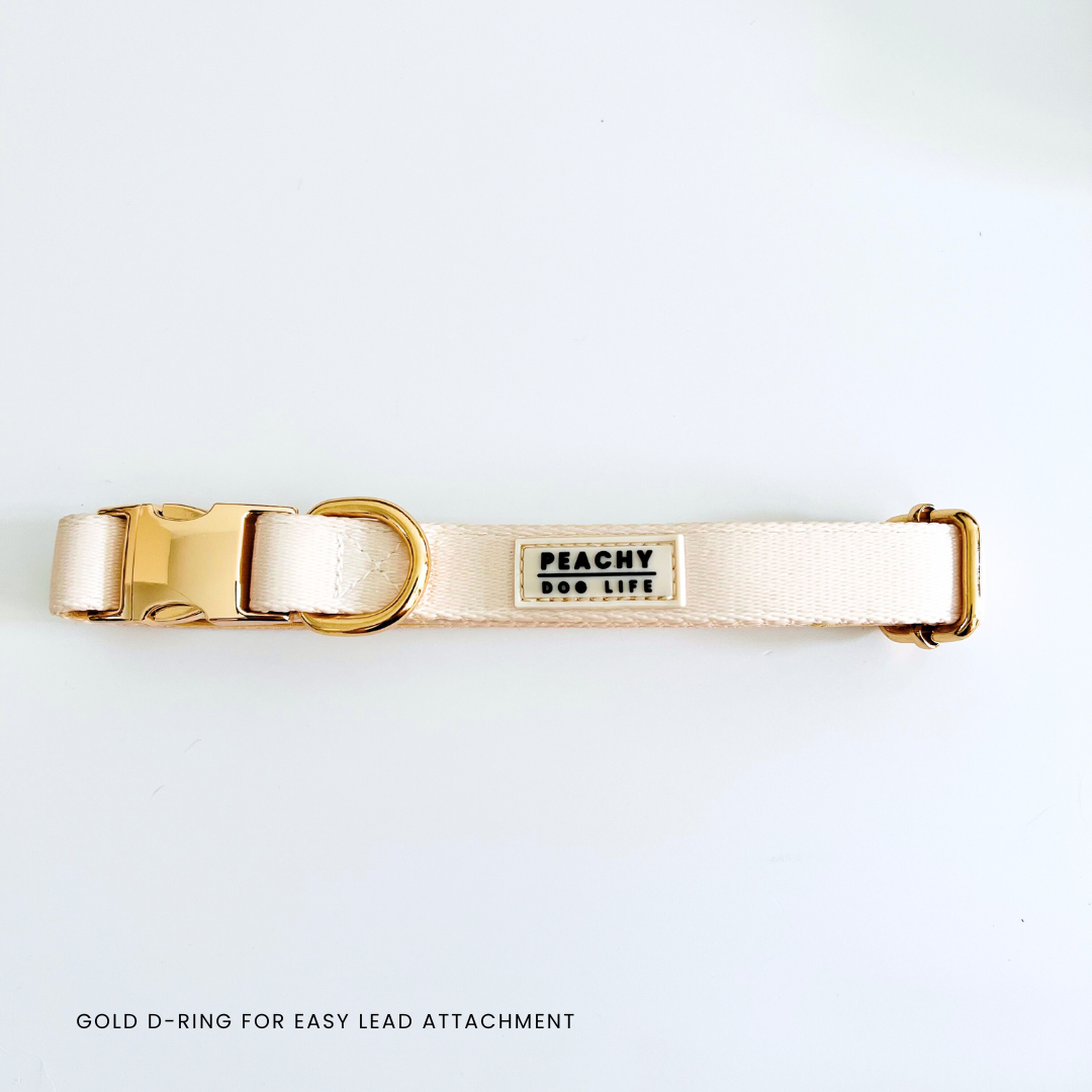Ivory Cream Dog Collar