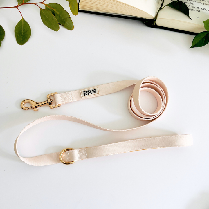 Ivory Cream Dog Lead