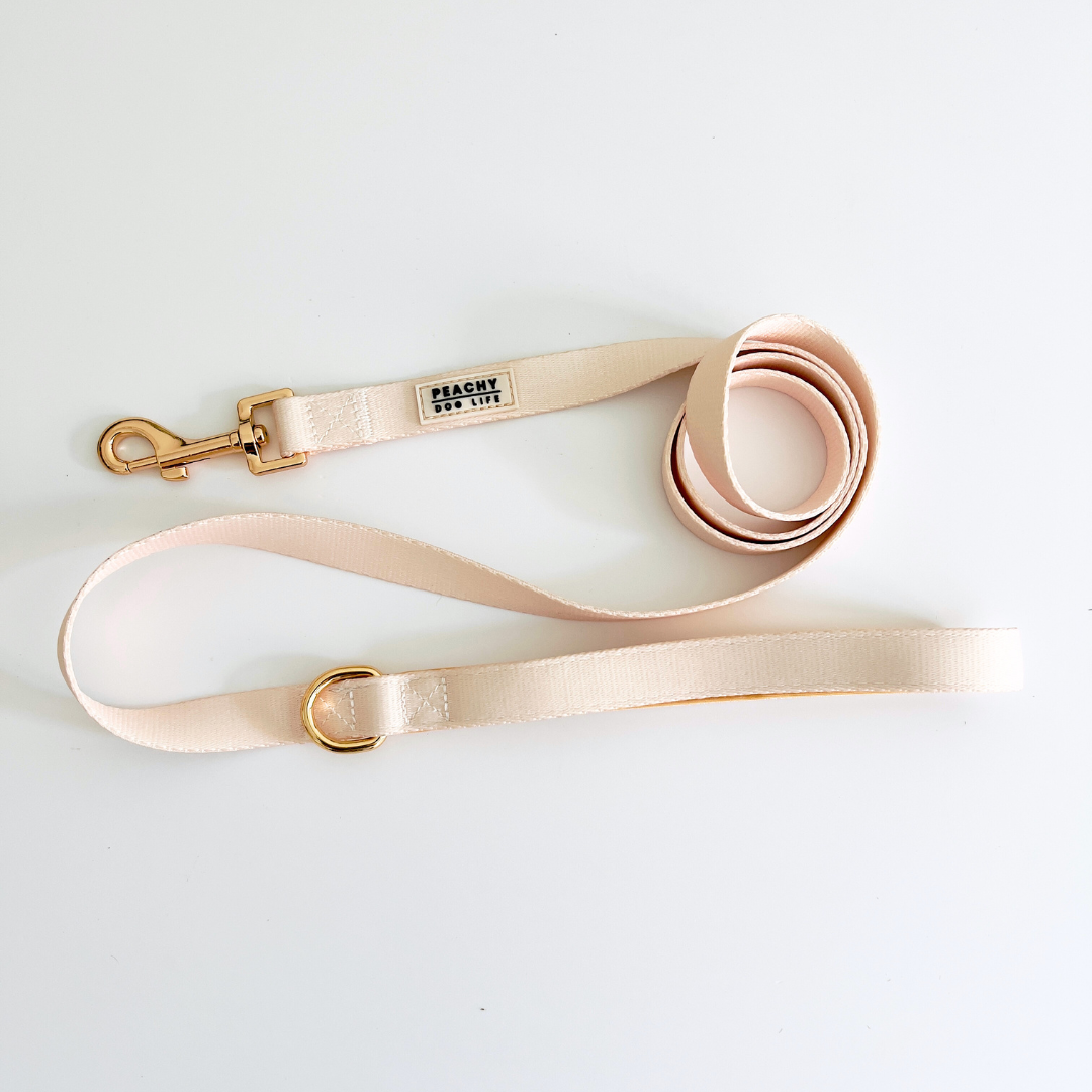 Ivory Cream Dog Lead