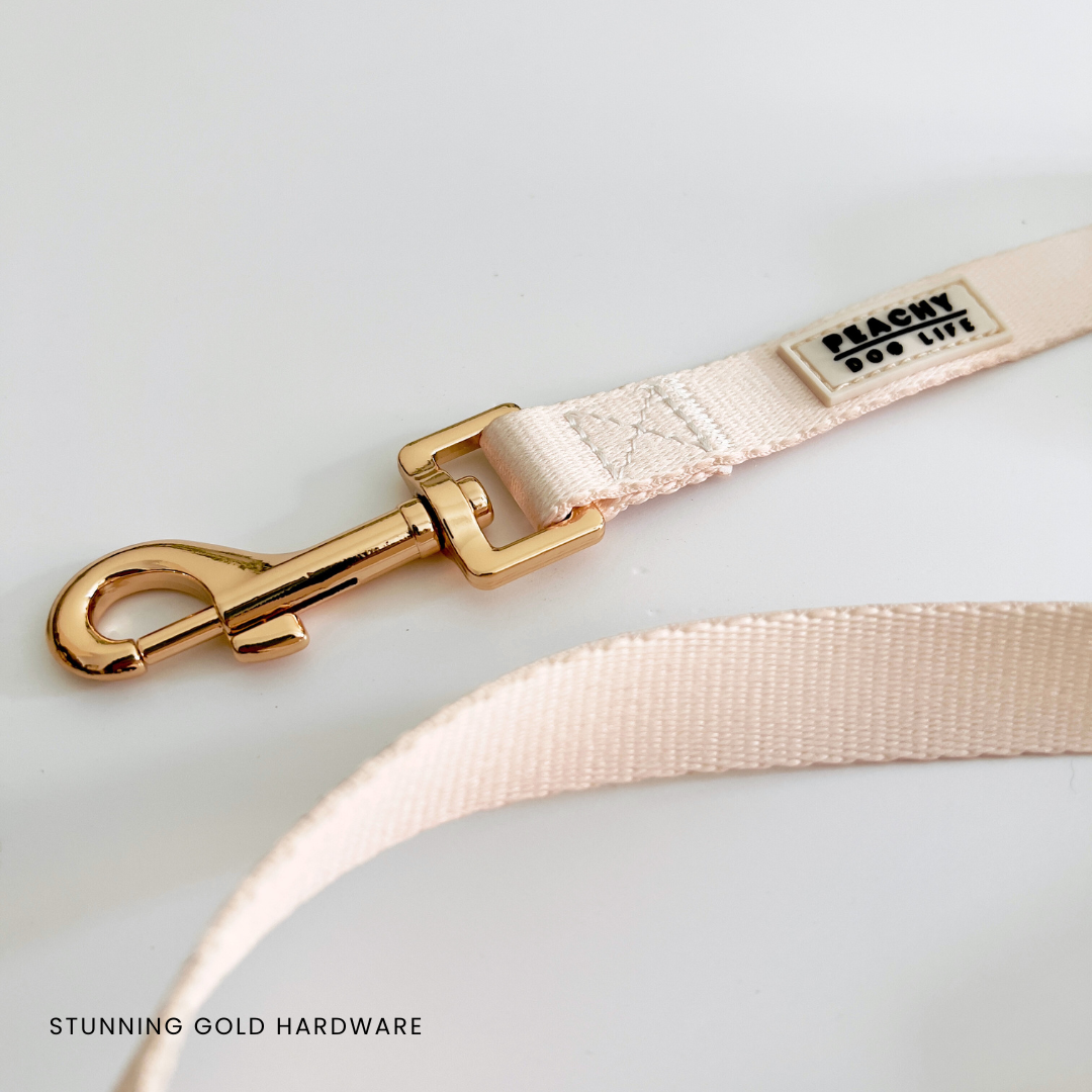 Ivory Cream Dog Lead
