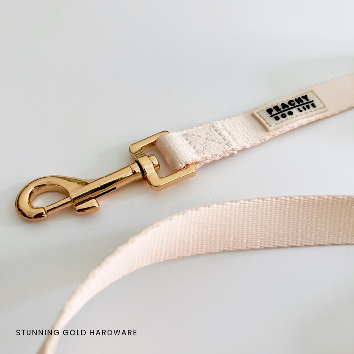 Ivory Cream Dog Lead