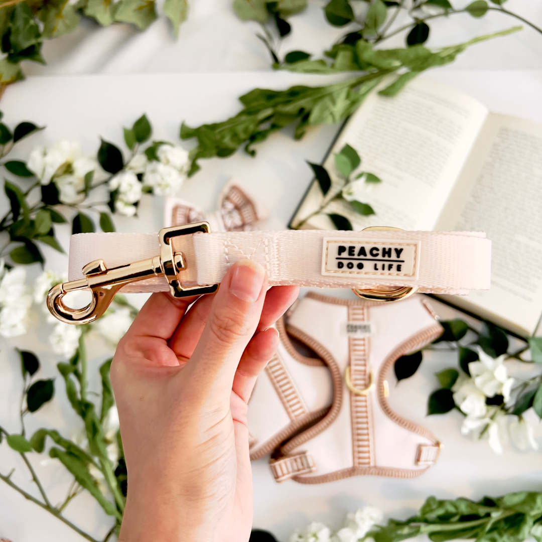 Ivory Cream Dog Lead