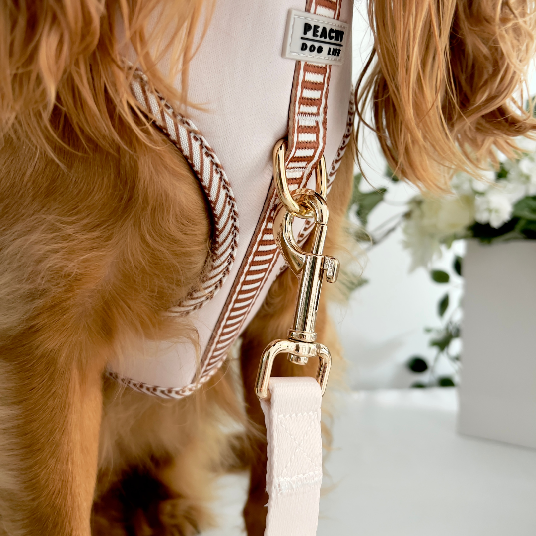 Ivory Cream Dog Lead