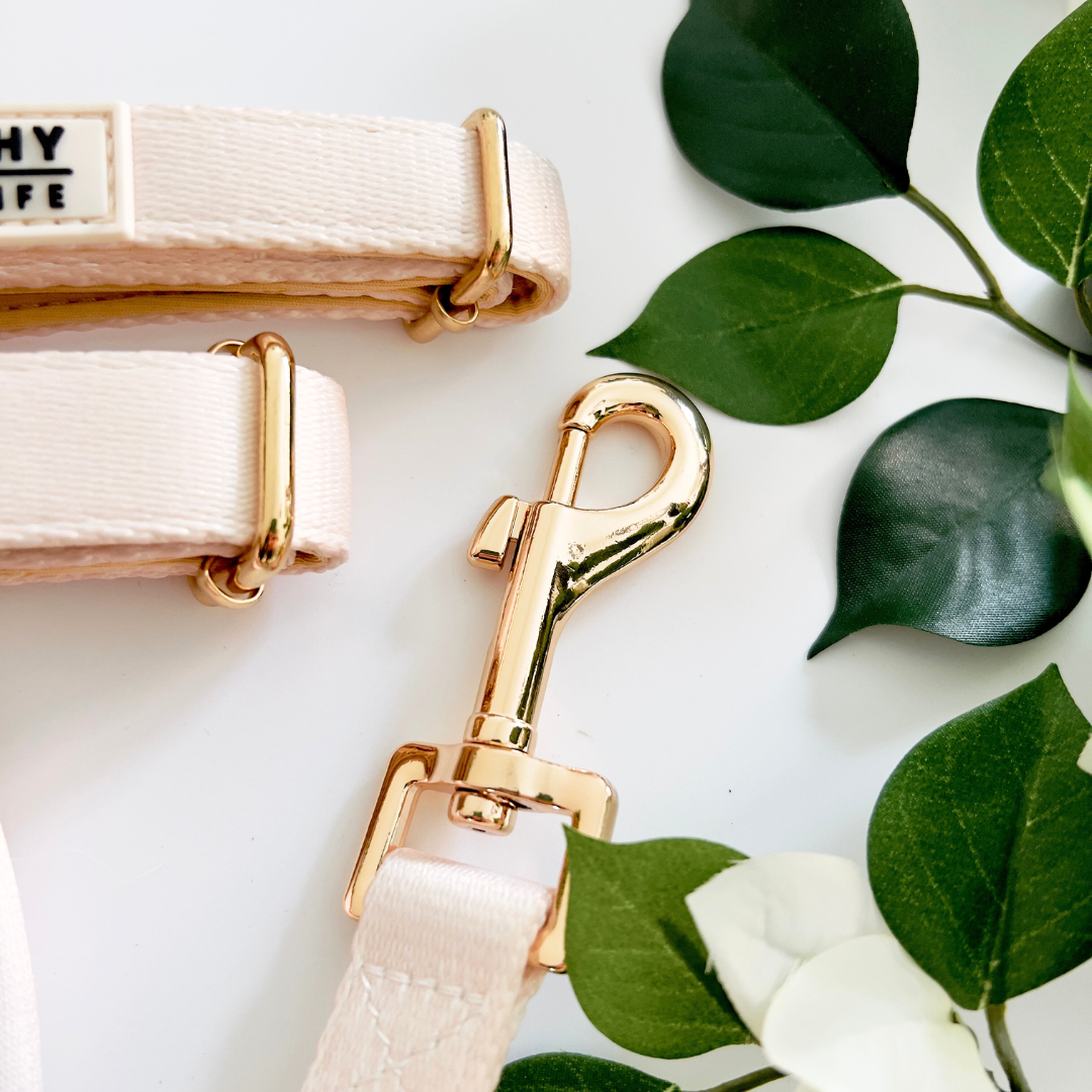 Ivory Cream Dog Lead
