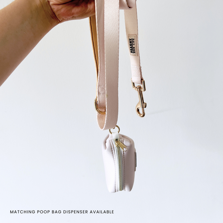 Ivory Cream Dog Lead