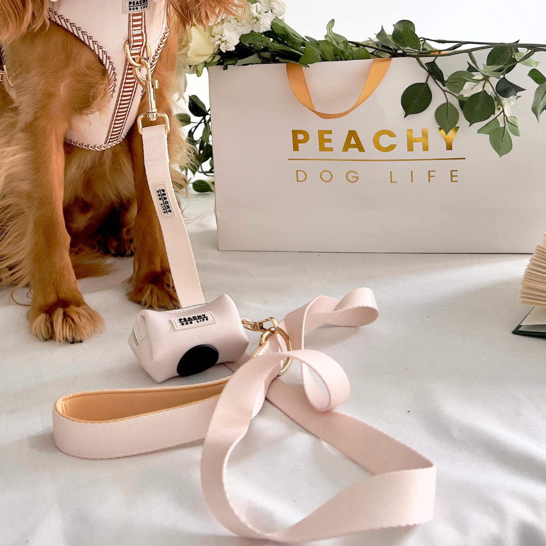 Ivory Cream Dog Lead
