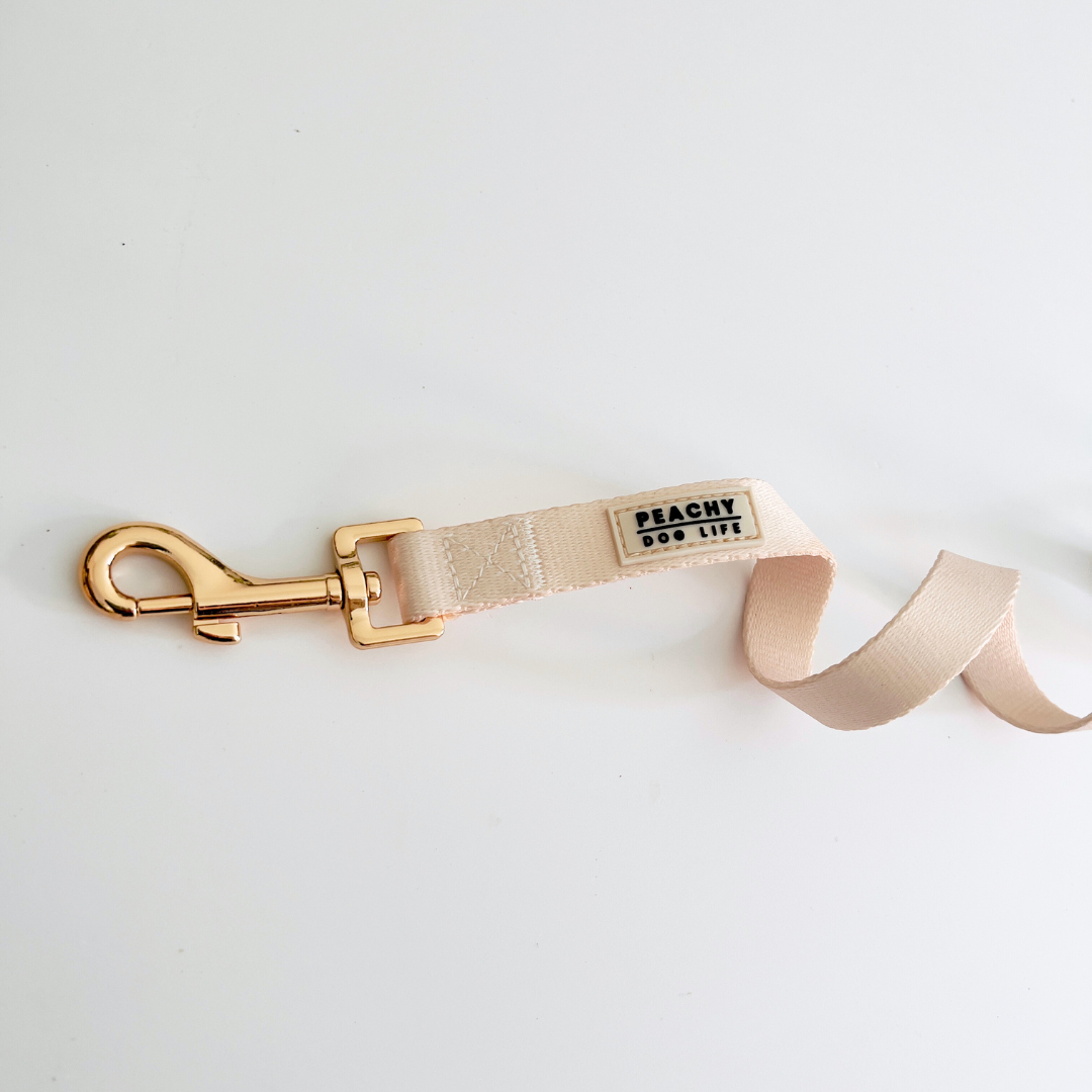 Ivory Cream Dog Lead