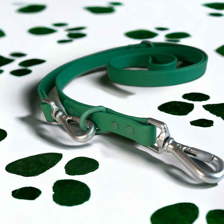 Wipeable dog lead green