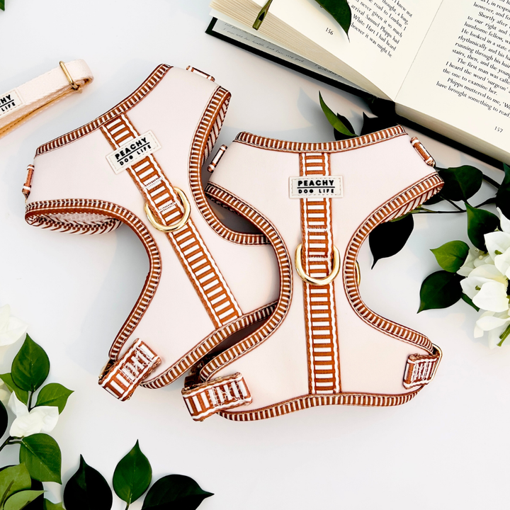 Ivory Cream Adjustable Dog Harness