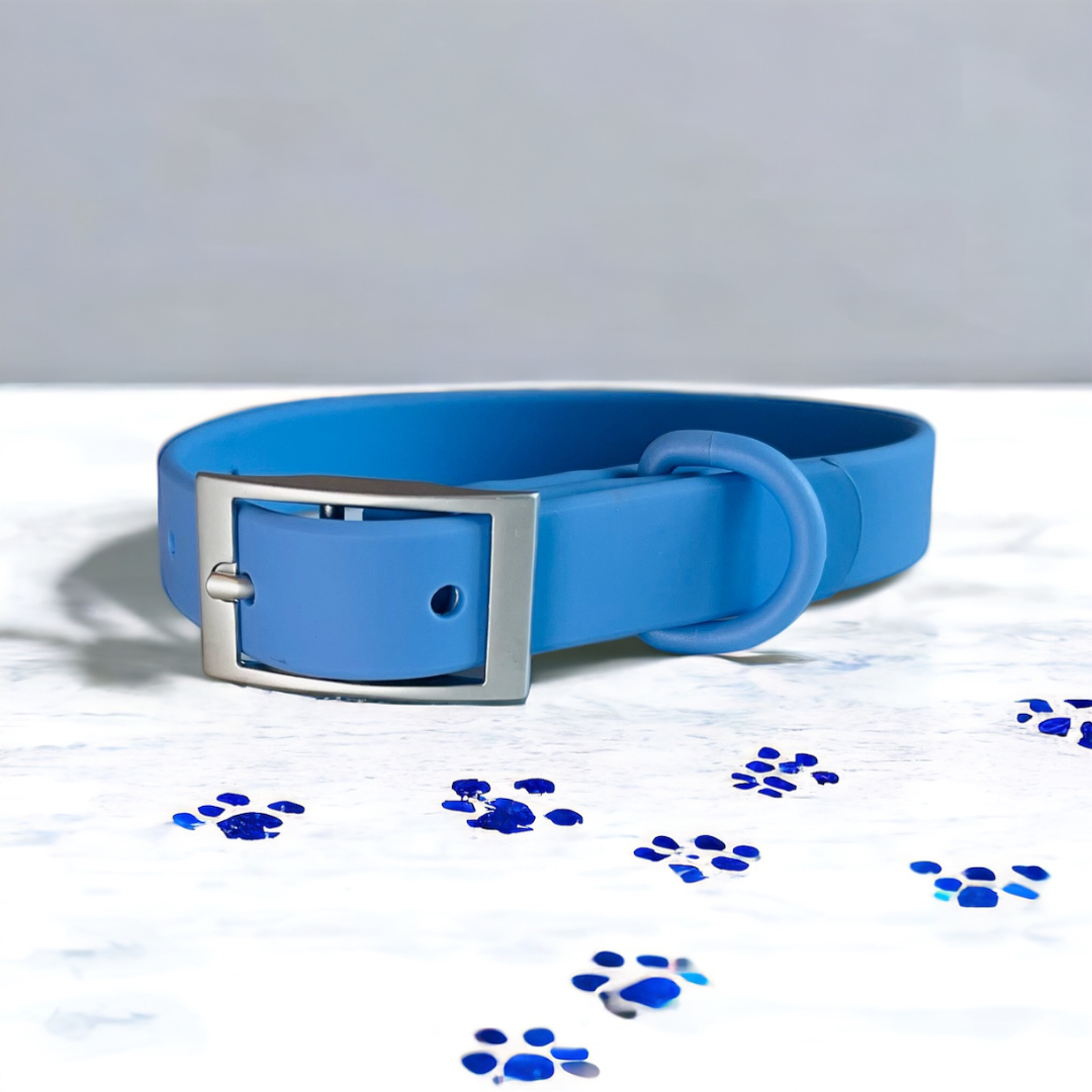 Wipeable dog collar blue