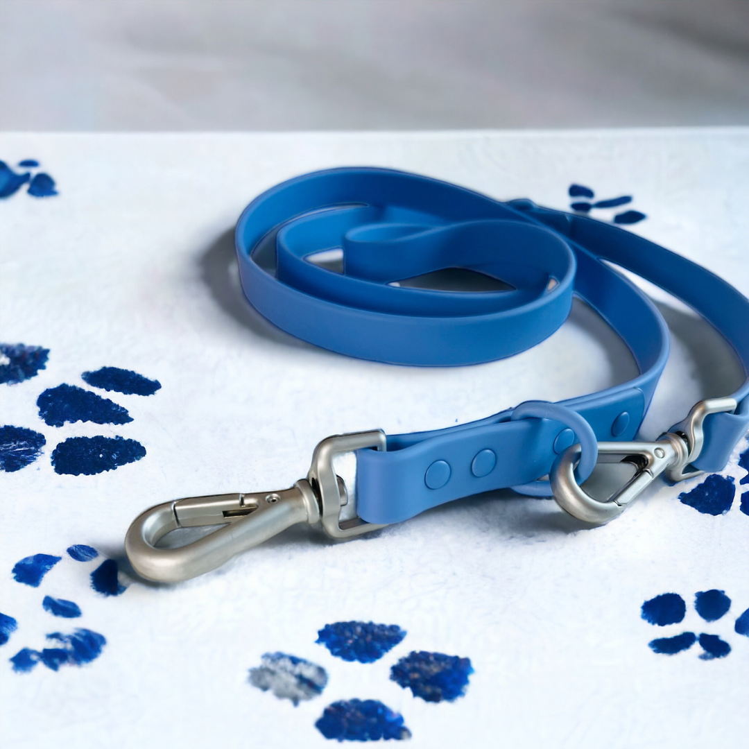 Wipeable dog lead blue