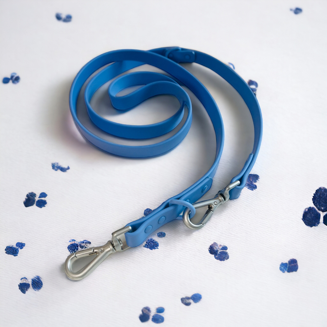 Wipeable dog lead blue