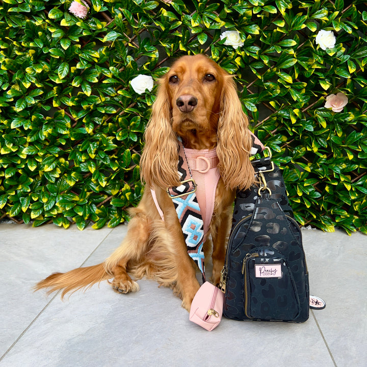 Dog sat next to the ultimate dog walking bag