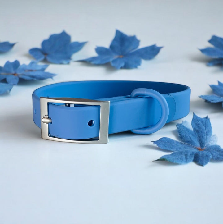 Wipeable dog collar blue