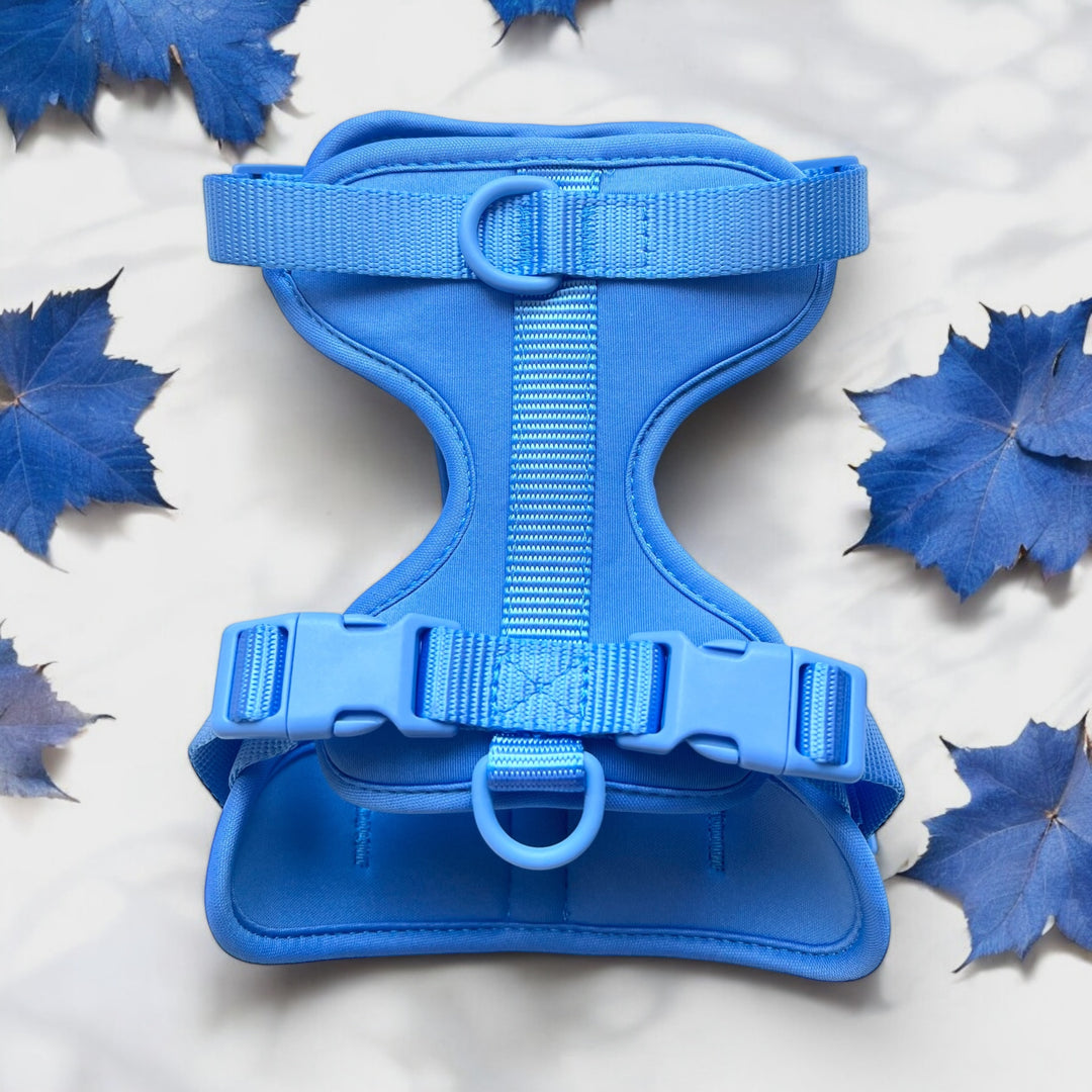 Adjustable Harness Azure Blue