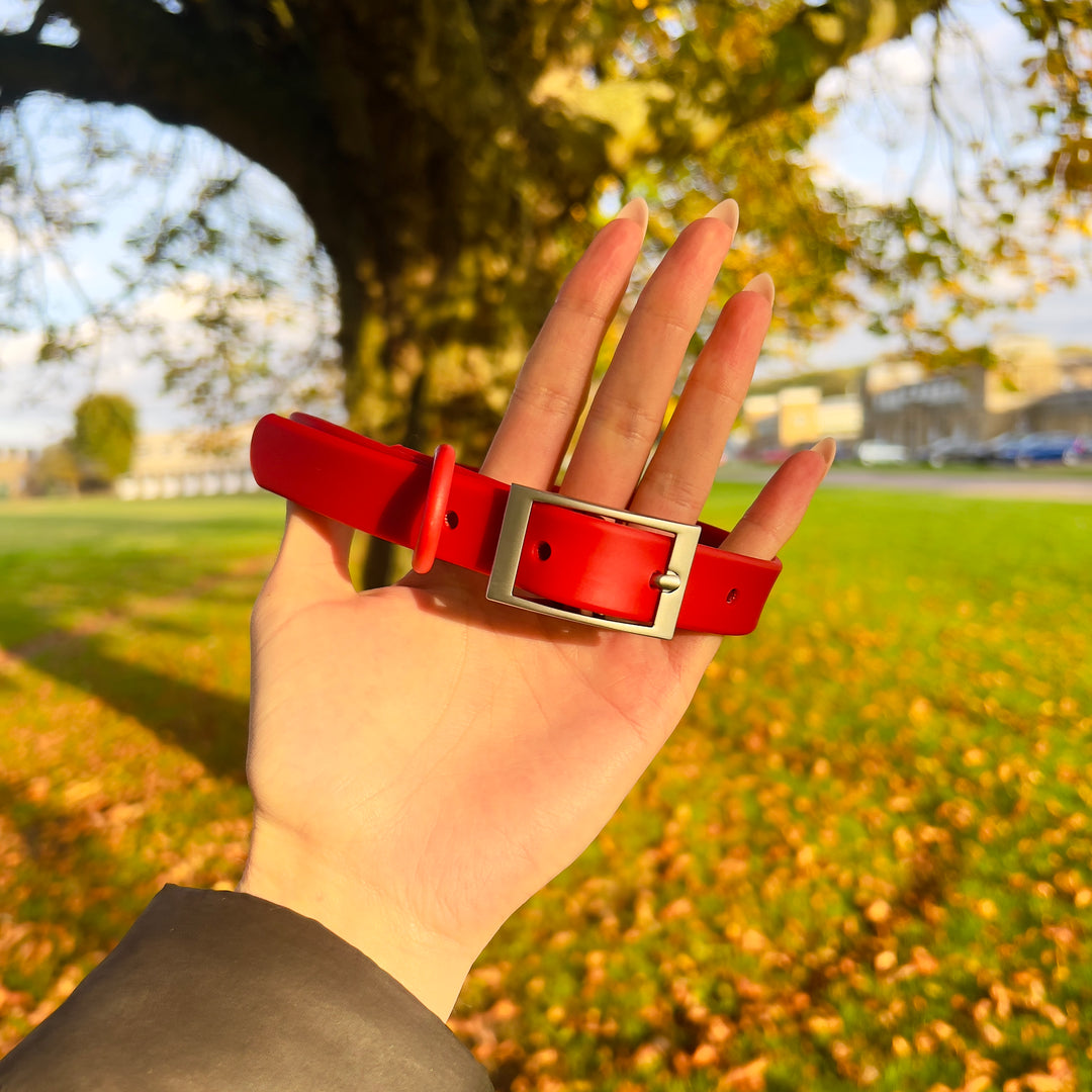 Wipeable dog collar red