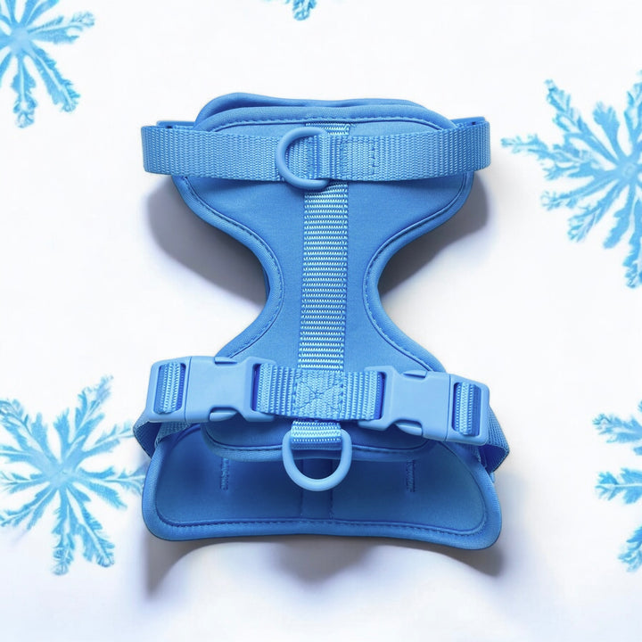 Adjustable Harness Azure Blue