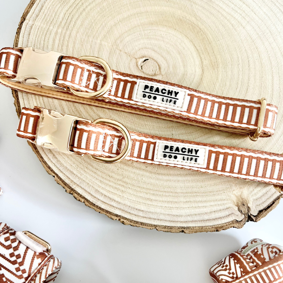 Ivory Spice Dog Collar