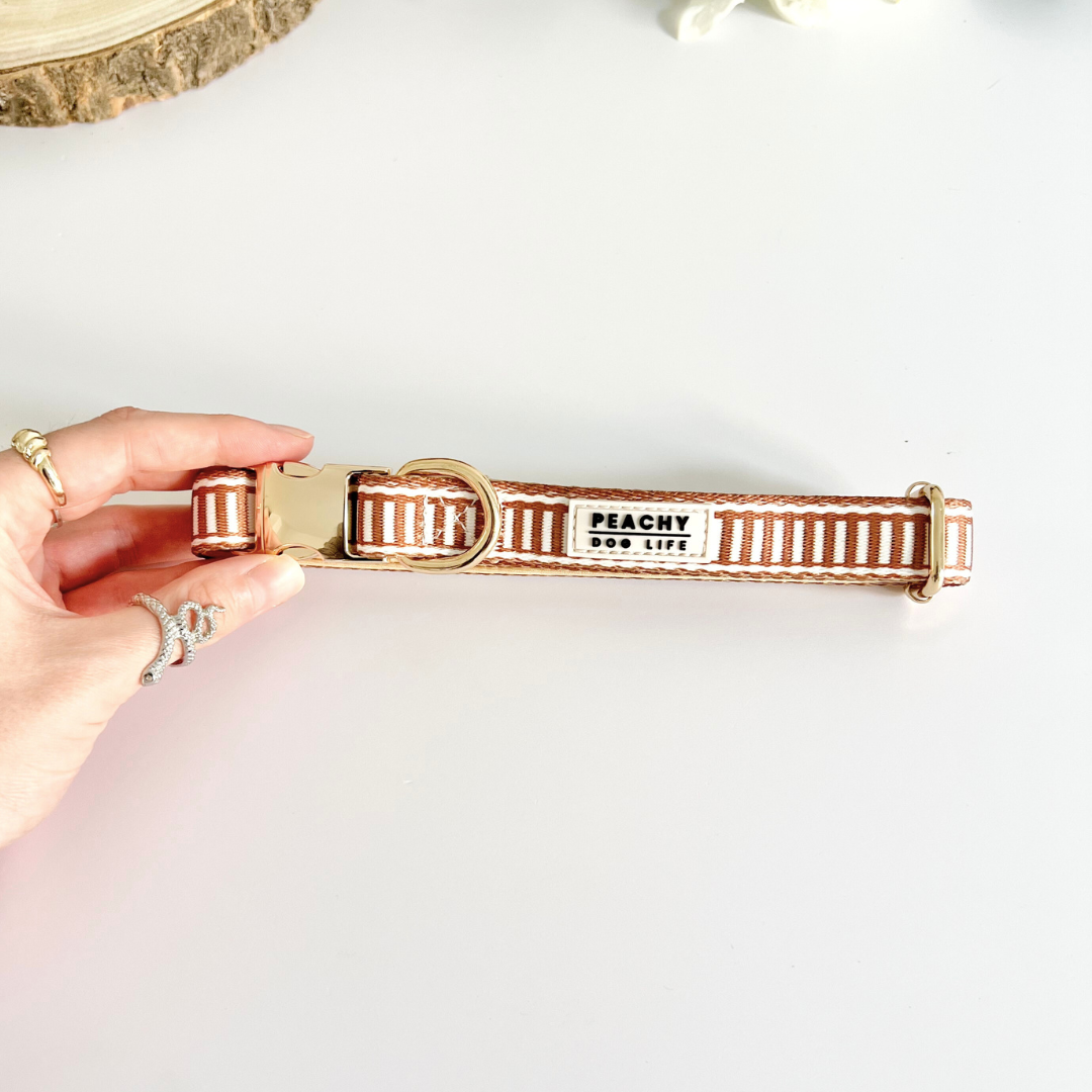 Ivory Spice Dog Collar