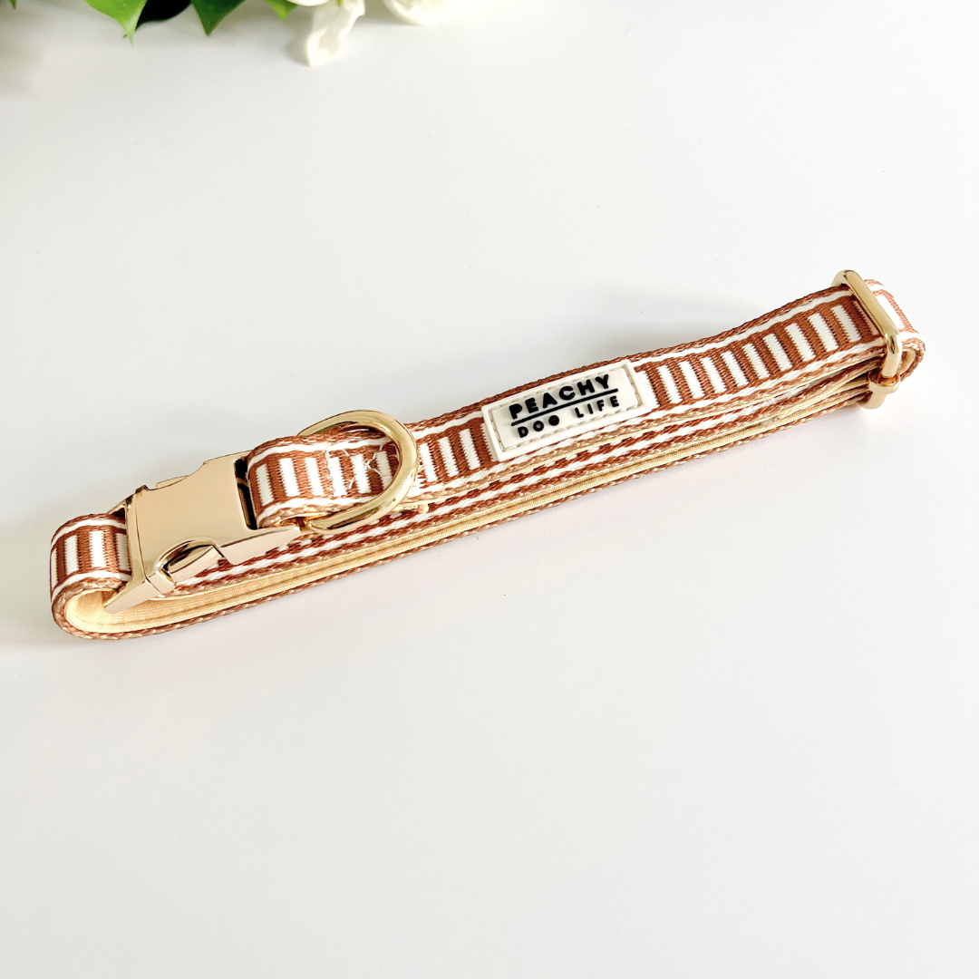Ivory Spice Dog Collar