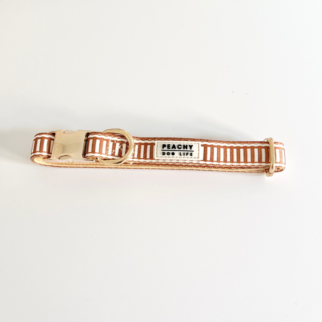 Ivory Spice Dog Collar