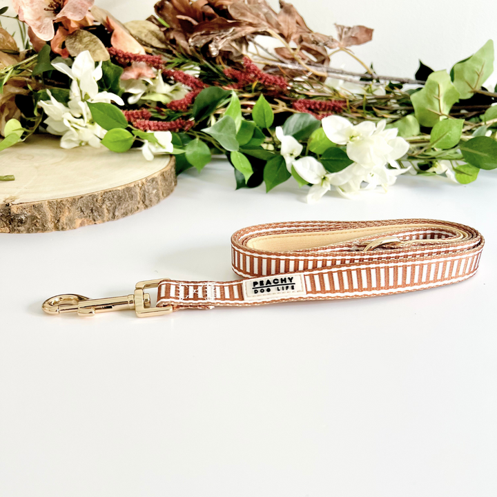 Ivory Spice Dog Lead