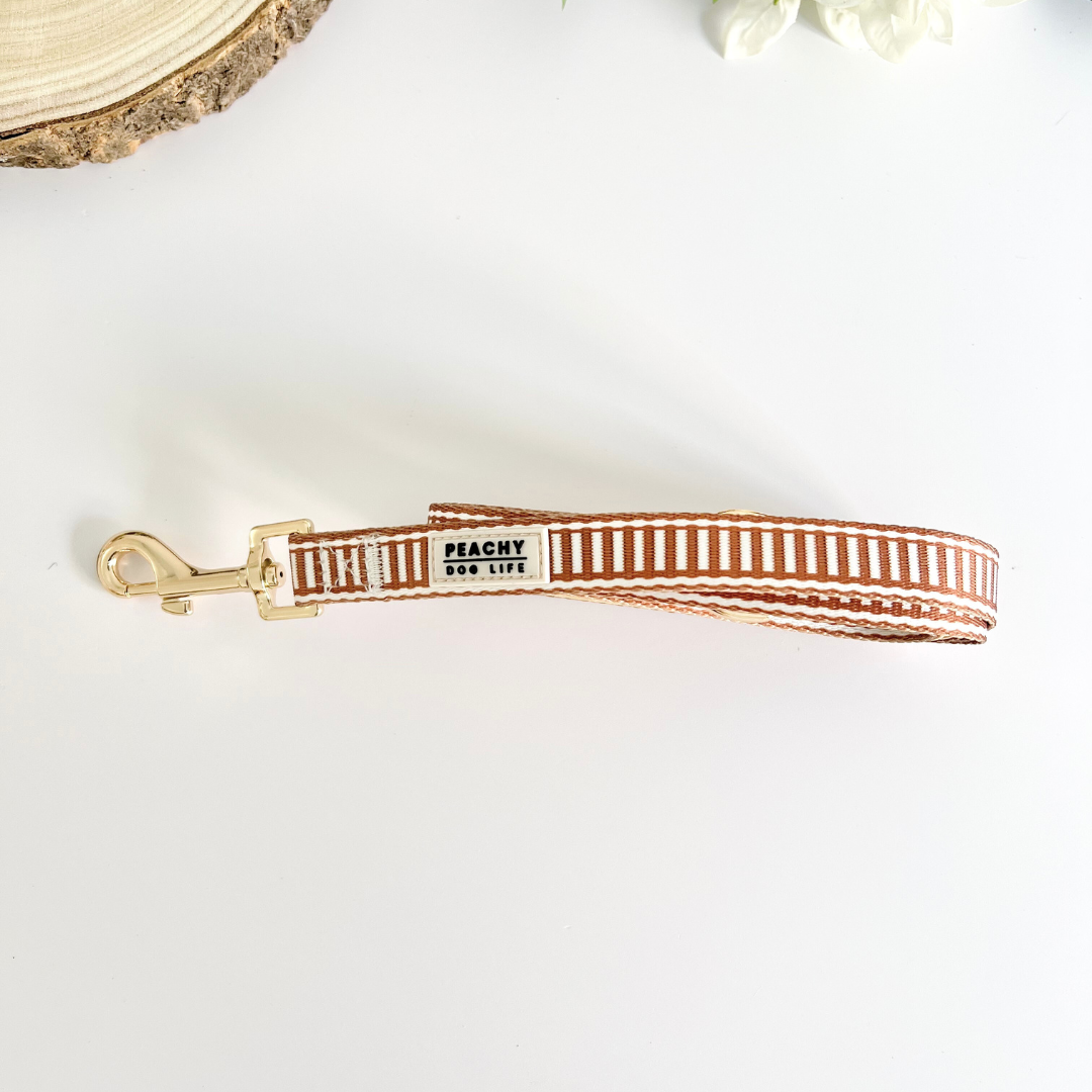 Ivory Spice Dog Lead