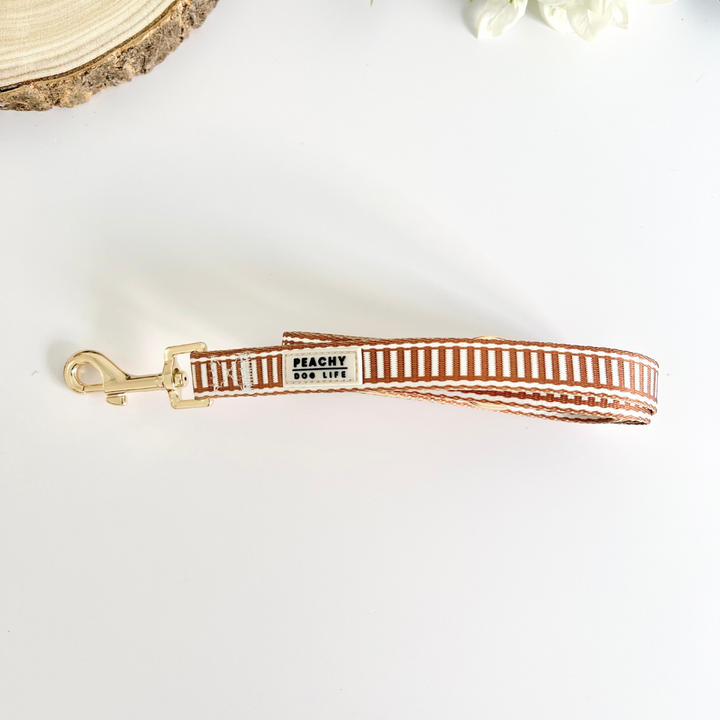 Ivory Spice Dog Lead