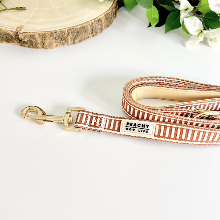 Ivory Spice Dog Lead
