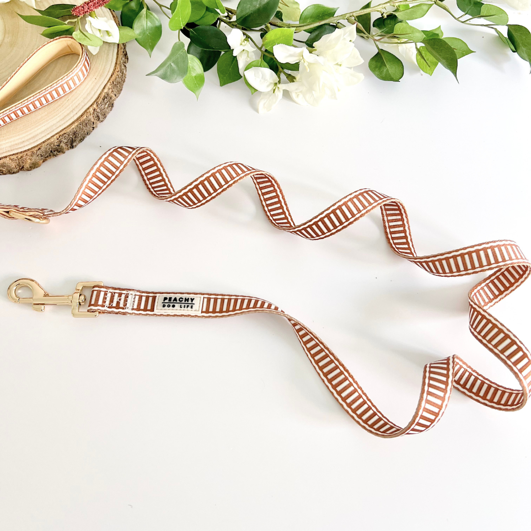 Ivory Spice Dog Lead