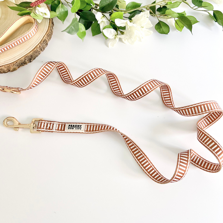 Ivory Spice Dog Lead