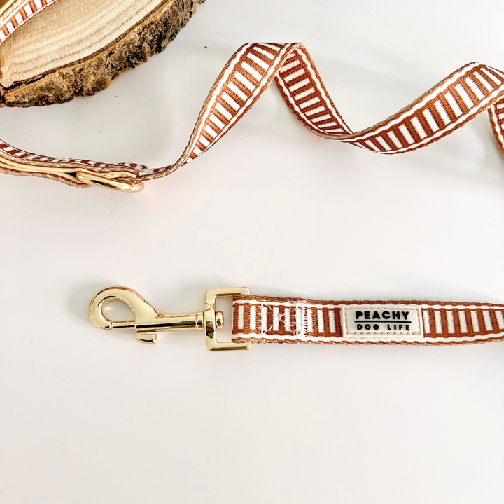 Ivory Spice Dog Lead