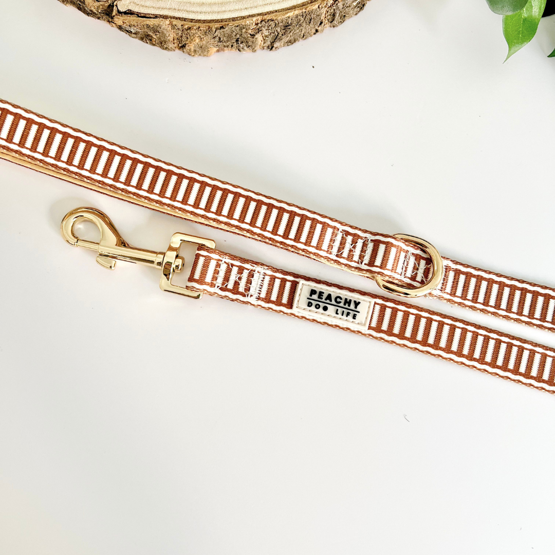 Ivory Spice Dog Lead