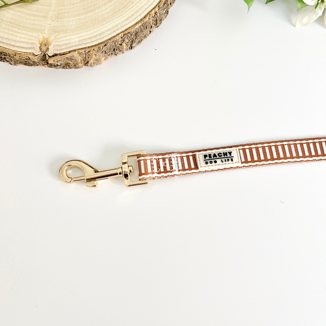 Ivory Spice Dog Lead