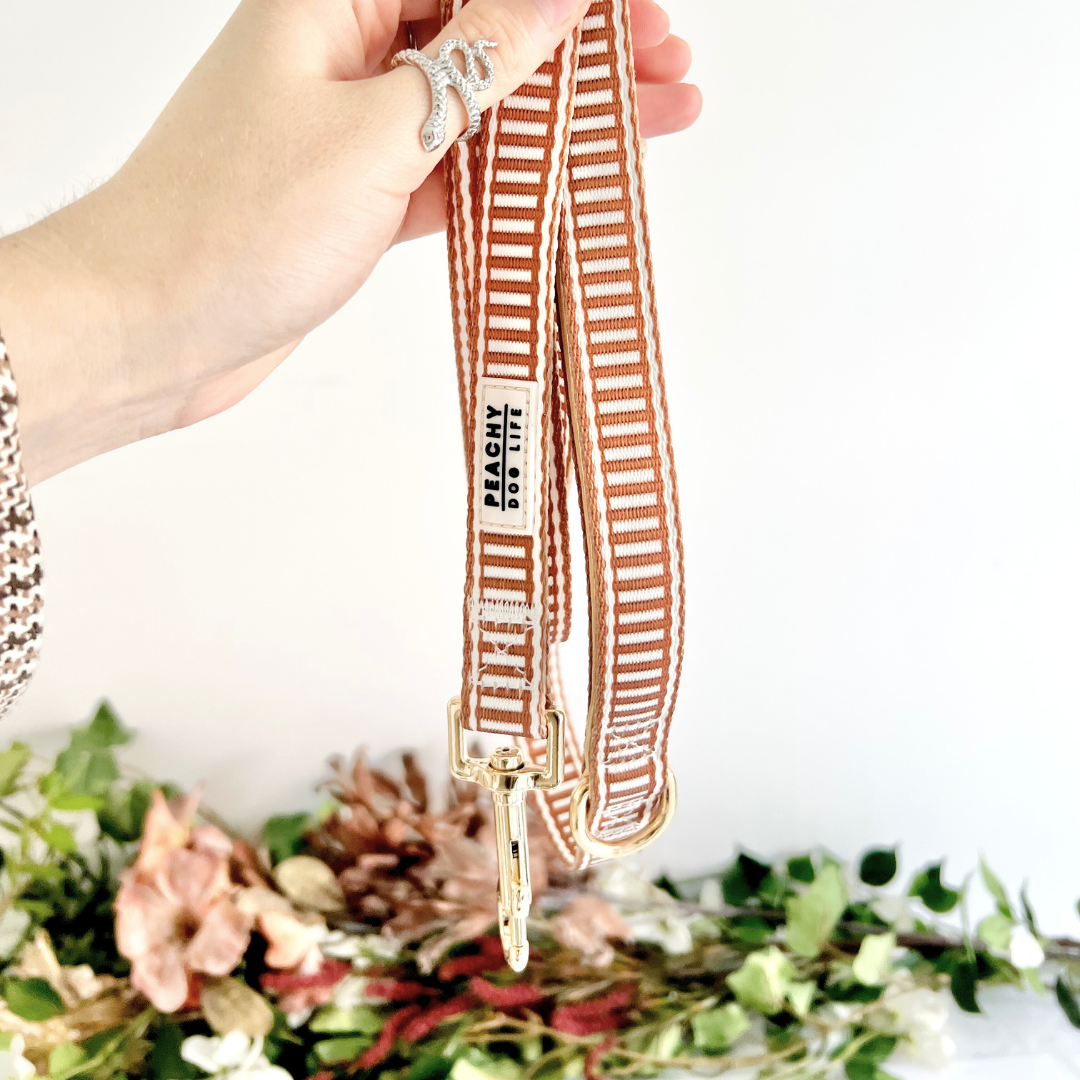 Ivory Spice Dog Lead