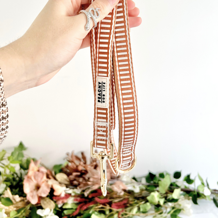 Ivory Spice Dog Lead