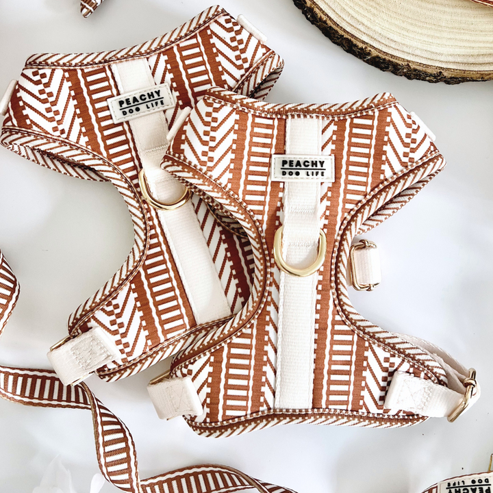 Ivory Spice Adjustable Dog Harness