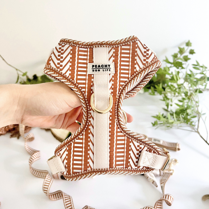 Ivory Spice Adjustable Dog Harness