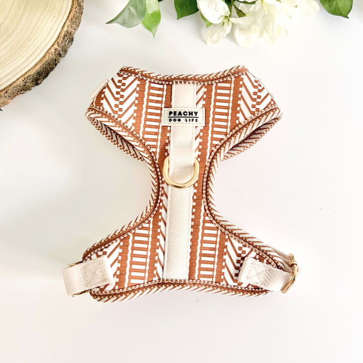 Ivory Spice Adjustable Dog Harness