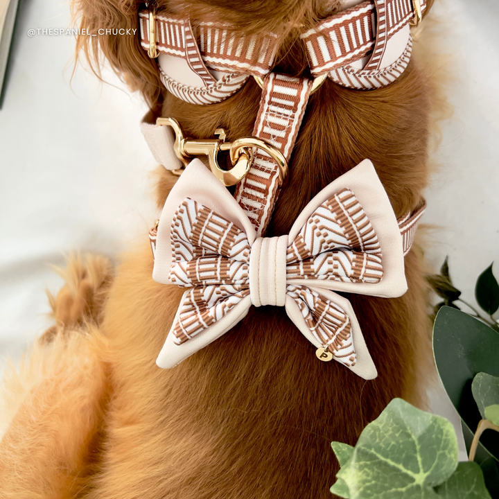 Ivory Cream Dog Bow