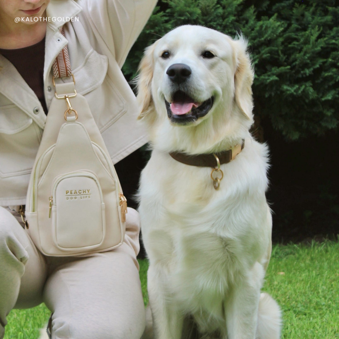 Ivory Cream Sling Bag