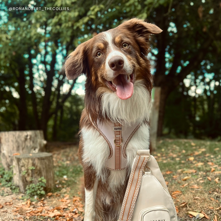 Ivory Cream Adjustable Dog Harness