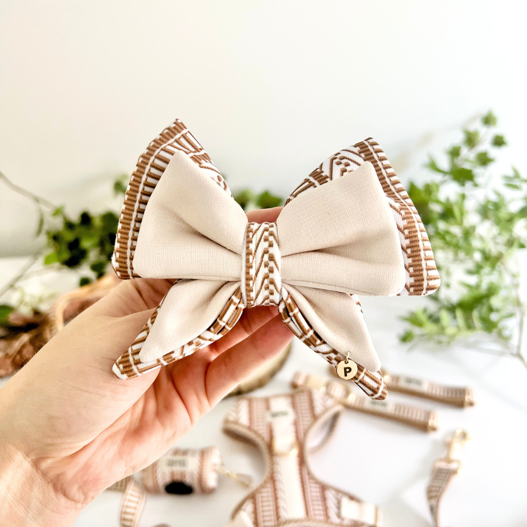 Ivory Spice Dog Bow